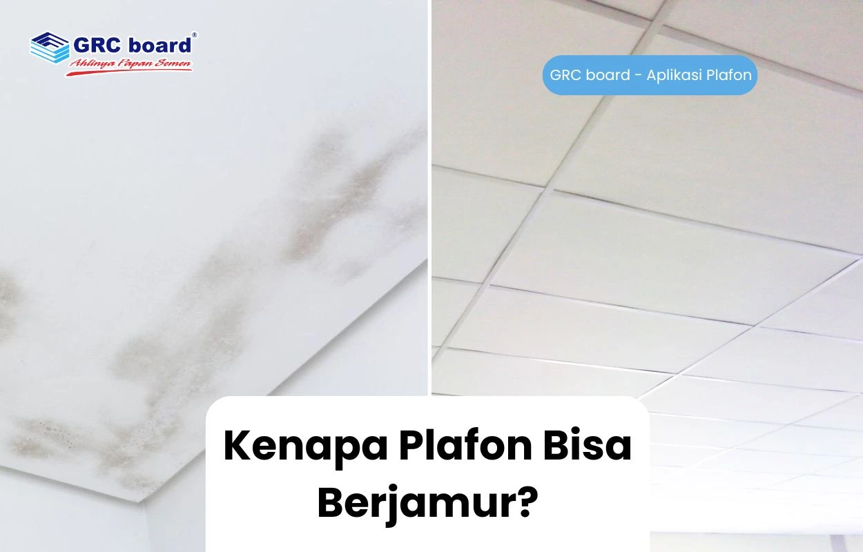 Kenapa Plafon Bisa Berjamur?